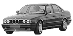 BMW E34 P1695 Fault Code