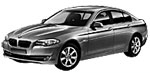 BMW F10 P1695 Fault Code